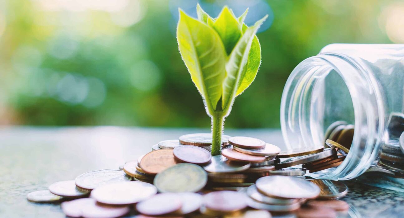 A plant grows from coins.