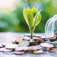 A plant grows from coins.