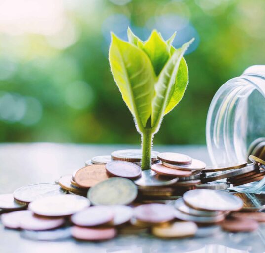 A plant grows from coins.