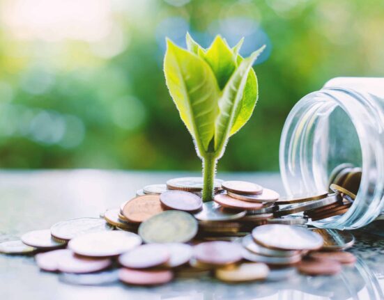 A plant grows from coins.