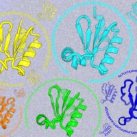Looking beyond natural sequences | MIT News