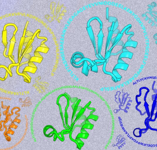 Looking beyond natural sequences | MIT News