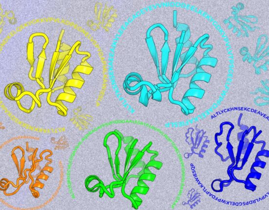 Looking beyond natural sequences | MIT News