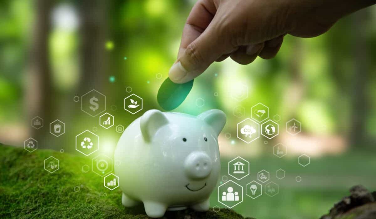 pig shows concept of sustainable investing