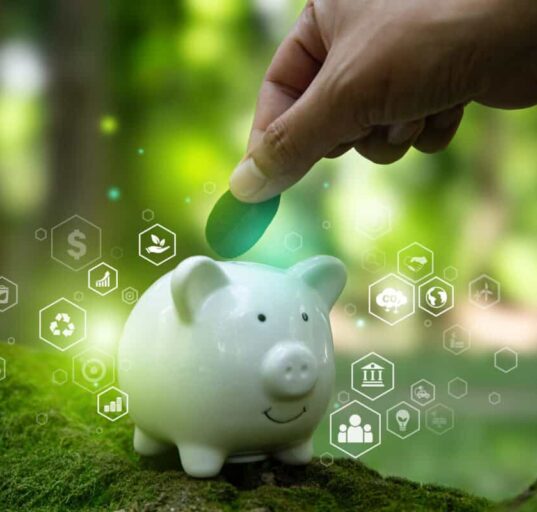 pig shows concept of sustainable investing