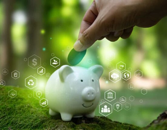 pig shows concept of sustainable investing