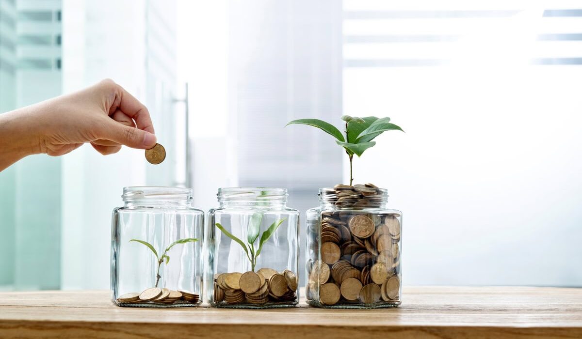 jar with coins and plant