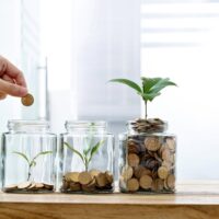 jar with coins and plant