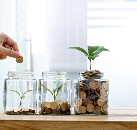 jar with coins and plant