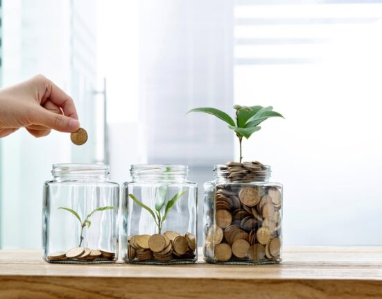 jar with coins and plant