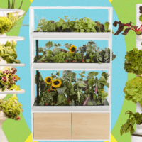 Best Indoor Garden Systems I’ve Been Testing All Year (2026)