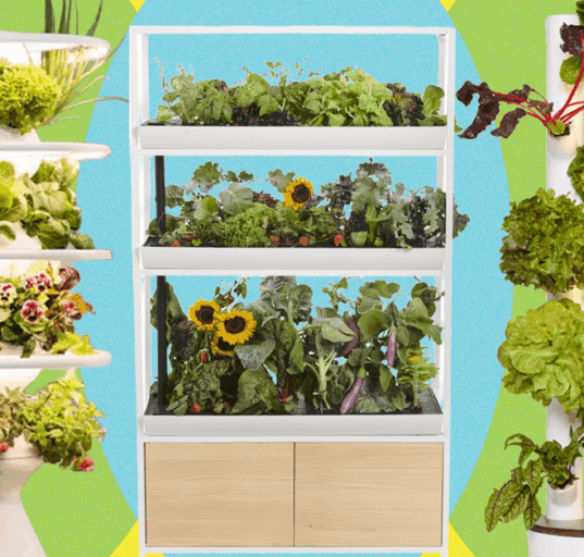 Best Indoor Garden Systems I’ve Been Testing All Year (2026)