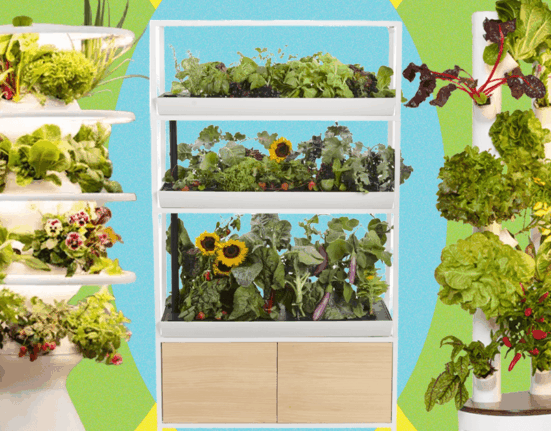 Best Indoor Garden Systems I’ve Been Testing All Year (2026)