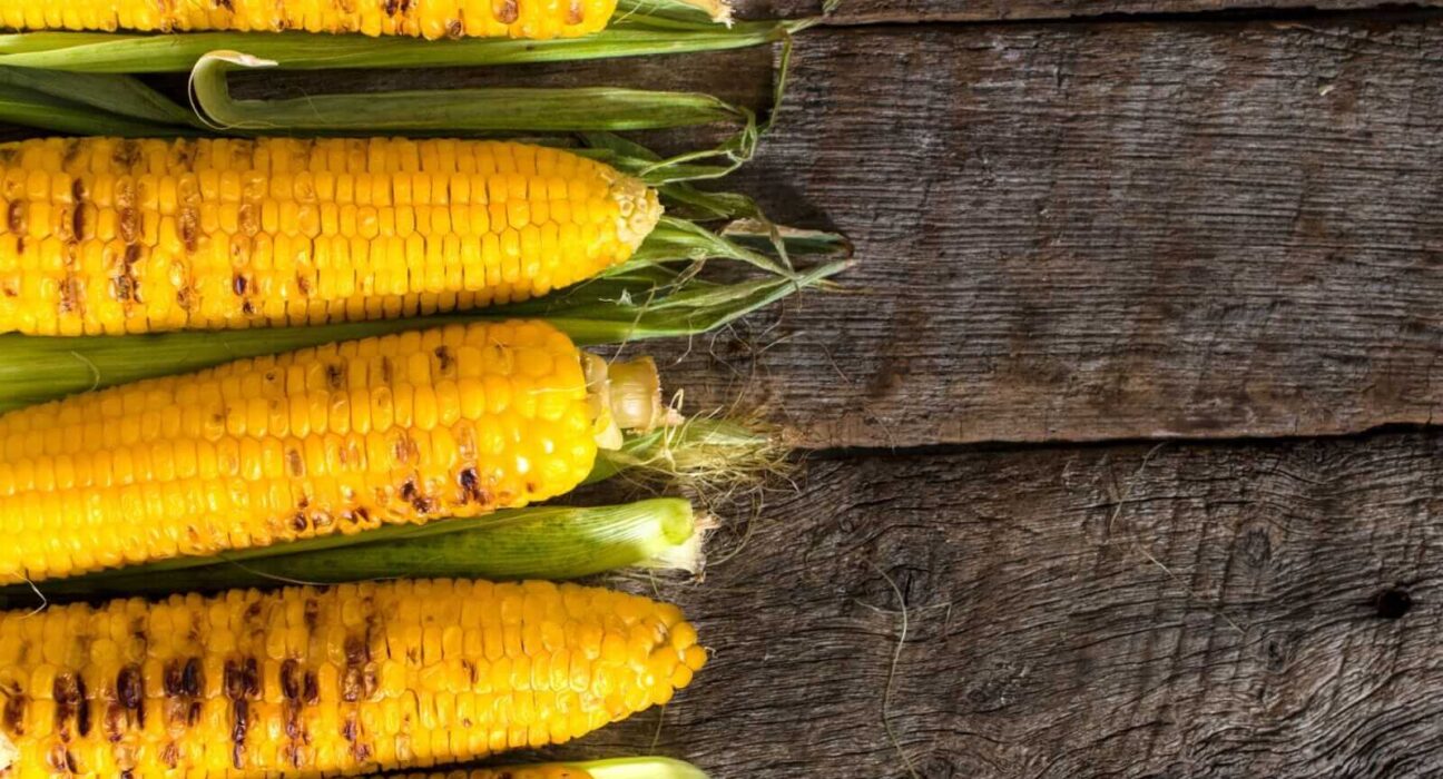 Corn Slipping Back in Sell the Fact Reaction to USDA Yield Cut