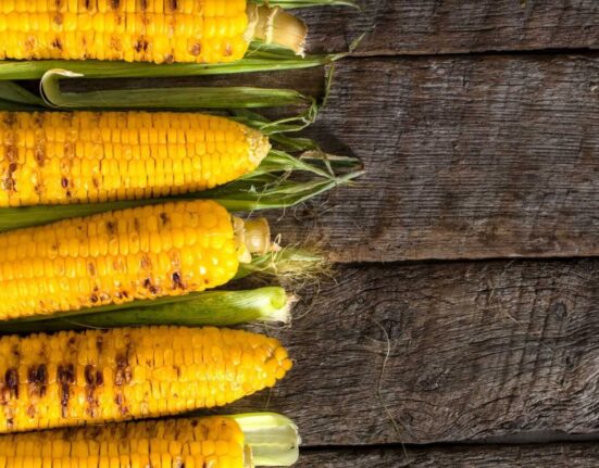 Corn Slipping Back in Sell the Fact Reaction to USDA Yield Cut