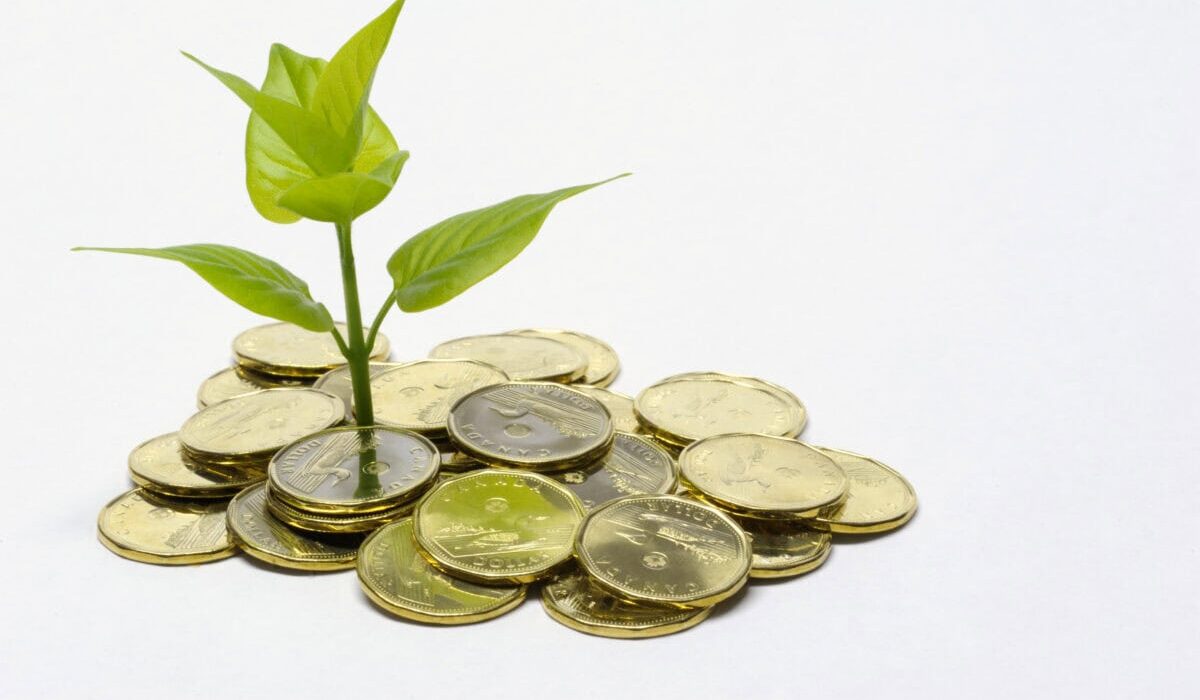 A close up color image of a small green plant sprouting out of a pile of Canadian dollar coins "loonies."