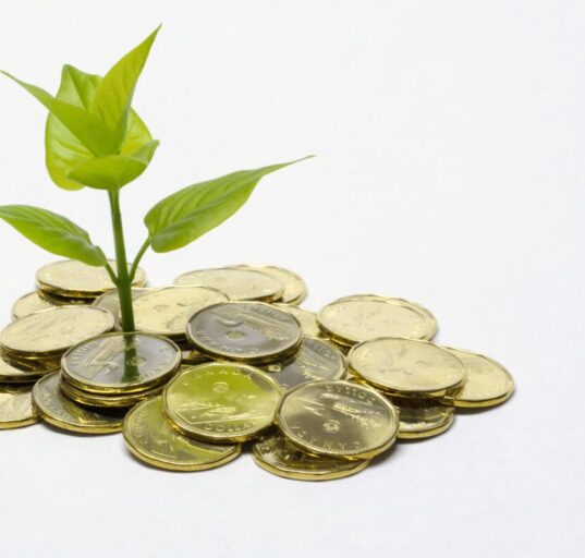 A close up color image of a small green plant sprouting out of a pile of Canadian dollar coins "loonies."