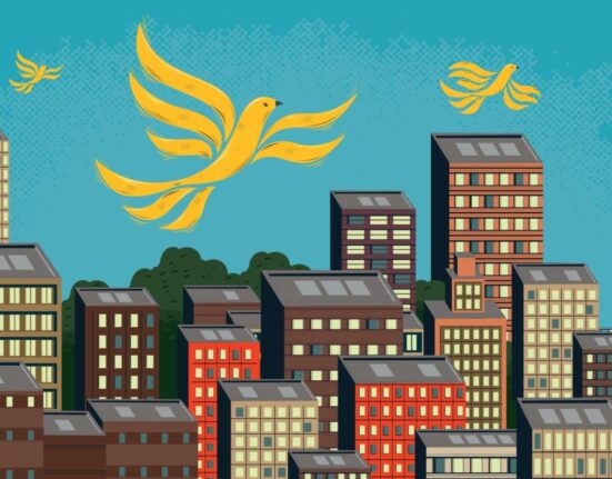 The House Article | Urban Lib Dems Fear Their Party Is Too Focused On The Blue Wall