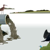 The House Opinion Article | The Choices Facing Burnham's Government On Water