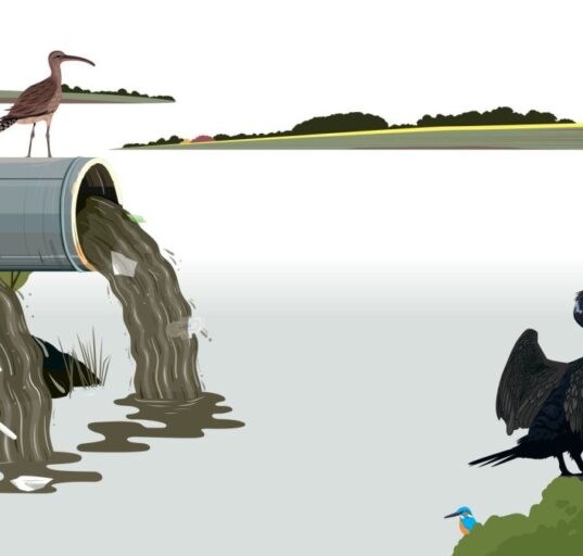 The House Opinion Article | The Choices Facing Burnham's Government On Water