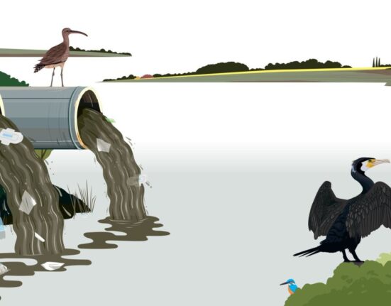The House Opinion Article | The Choices Facing Burnham's Government On Water