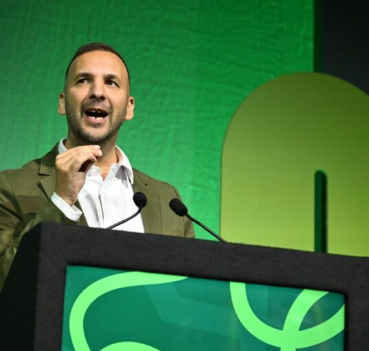 Politics Home Article | Vote Green To Push Labour Left, Says Zack Polanski