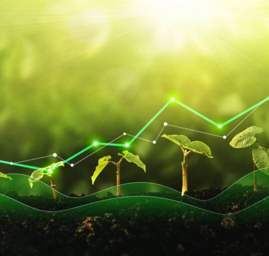 concept of growth